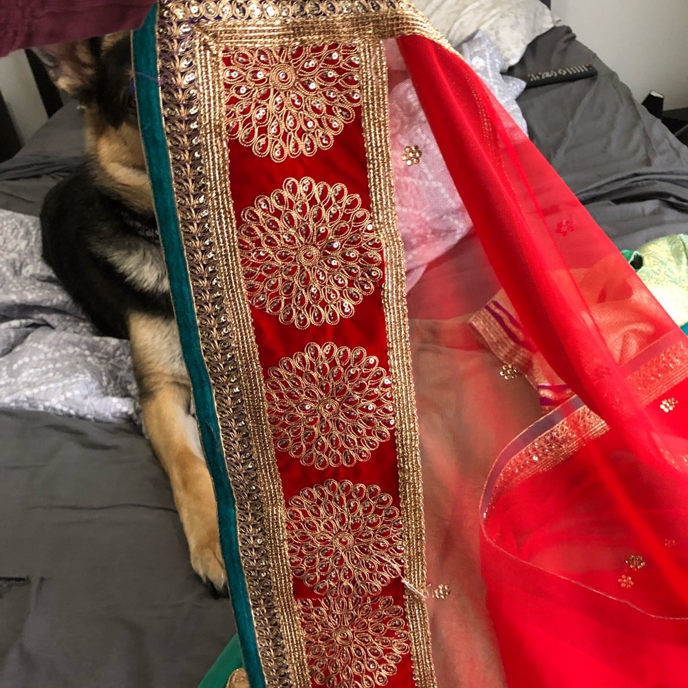 Formal Indian outfit, Lehenga - Picture 5 of 6